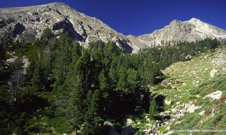 El desenvolupament del Pirineu