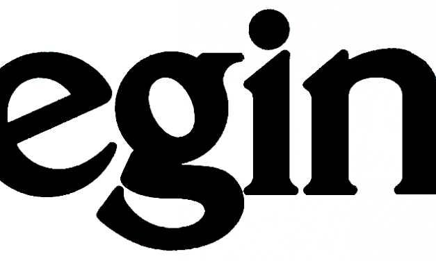 Egin