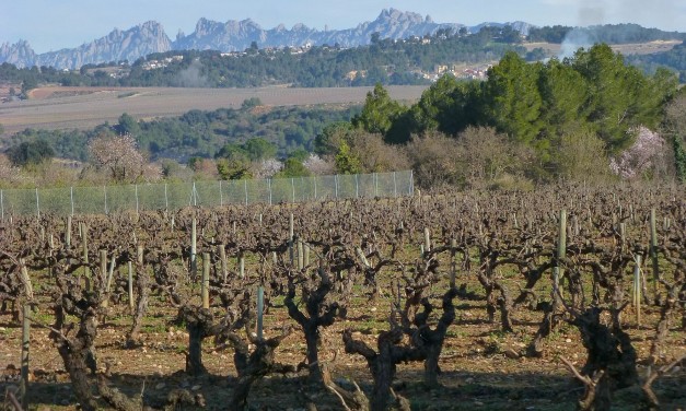 Gràcies…!