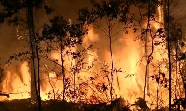 Incendis