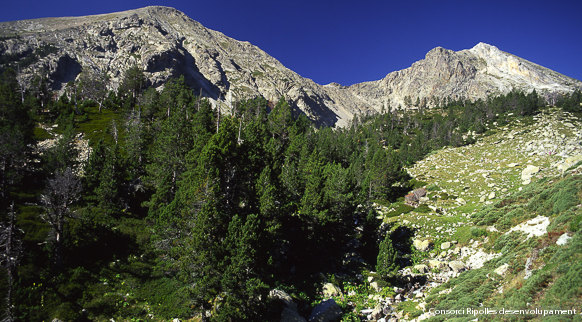 El desenvolupament del Pirineu