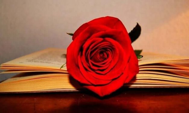 Un altre Sant Jordi