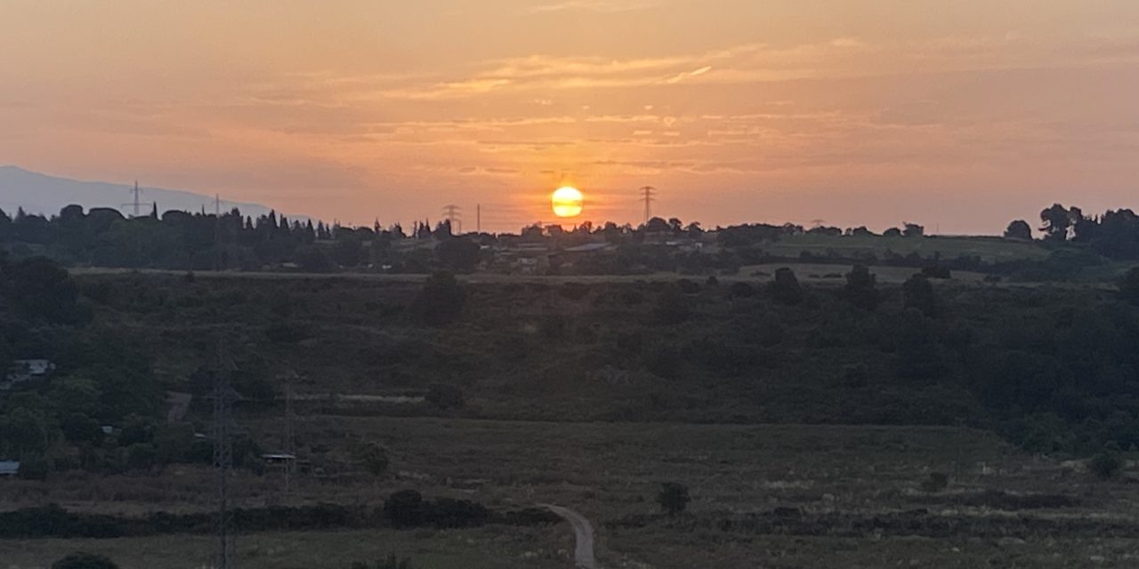 El meu diari (Juliol de 2025)