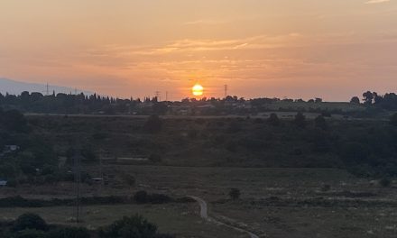El meu diari (Juliol de 2025)