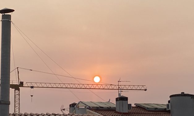 El meu diari (Agost de 2025)