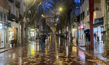 El meu diari (Gener de 2026)