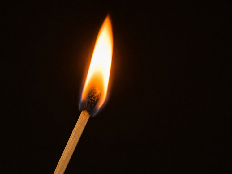 El foc de les Gavarres i el que realment crema
