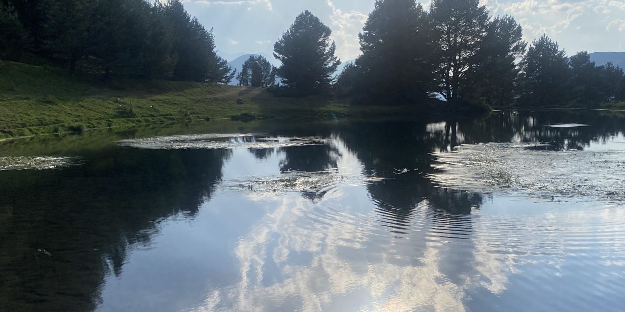 El meu diari (Agost de 2026)
