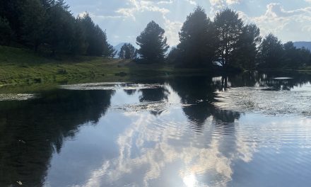 El meu diari (Agost de 2026)