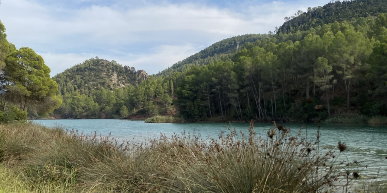 El meu Diari (Setembre de 2026)